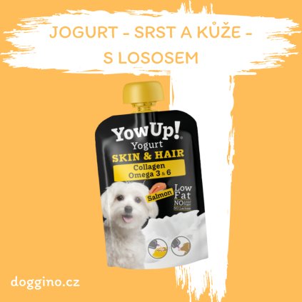Jogurt srst a kůže s lososem