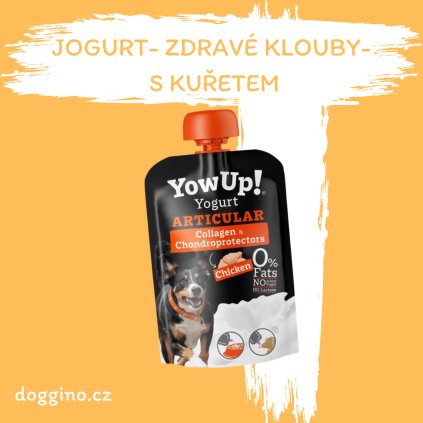 Jogurt zdravé klouby s kuřetem