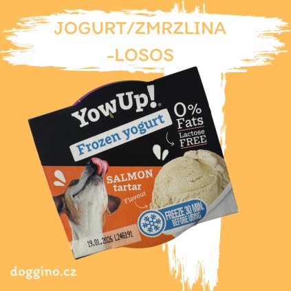 Mrazitelný jogurt pro pejsky- losos