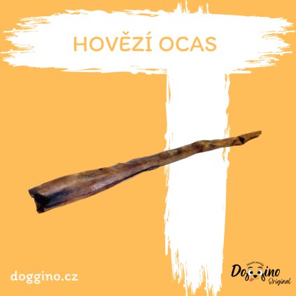 hovezi-ocas