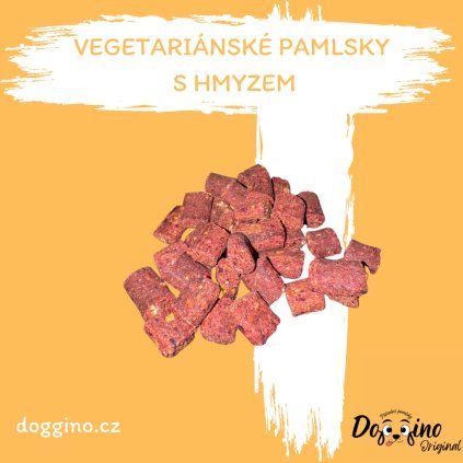 vegetarianske-pamlsky-s-hmyzem