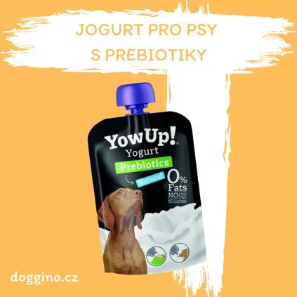 jogurt-s-prebiotiky