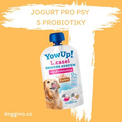 jogurt-s-probiotiky