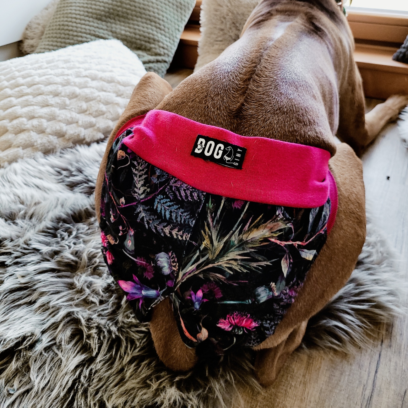 hárací kalhotky zezhora