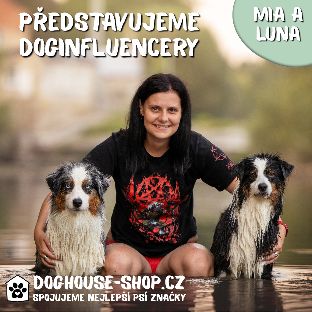 Pavlína, Mia a Luna – smečka, která dobývá svět 🌍🐾