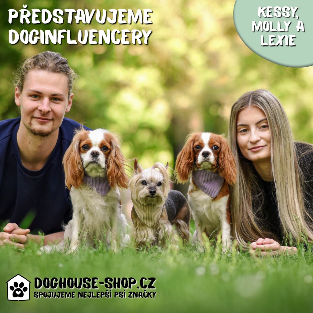 Kessy, Molly & Lexie – smečka, která tě rozesměje i dojme