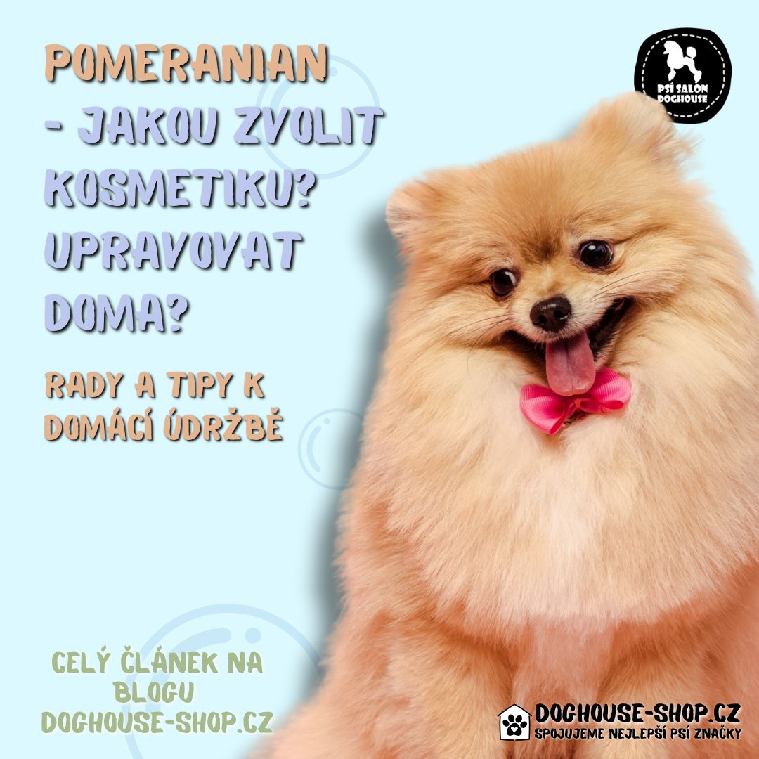 Pomeranian, pomik nebo pomeranč…..jak ho doma správně upravit? Jakou zvolit kosmetiku?