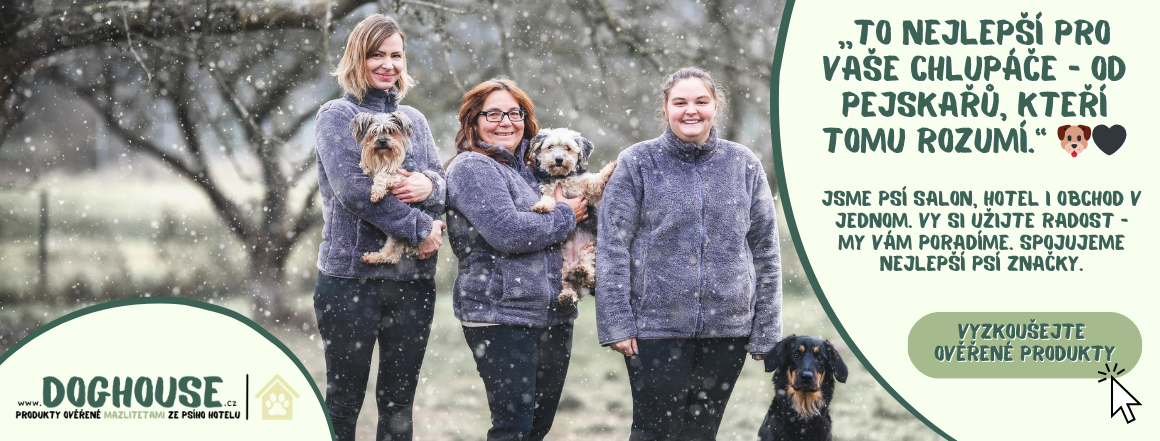 Tým Doghouse. Psí salon, psí wellness, psí hotel, psí školka,  e-shop a prodejna v jenom.