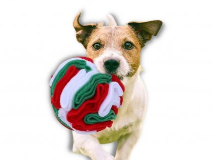 Čmuchací koule - interaktivní hračka pro psy