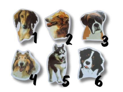 Nálepka - Saluki, Barzoi, Bernský salašnický pes, Německý boxer, Husky, Kolie