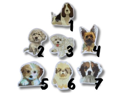 Nálepka - Bichon Frisé, maltezáček, kooikerhondje, Yorkshire teriér, Baset, havanský psík