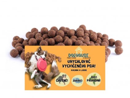 URYCHLOVAČ VYCVIČENÉHO PSA - Kachna a Losos 16mm 200g a 500g