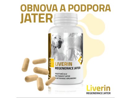 LIVERIN - regenerace jater