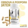 LIVERIN - regenerace jater
