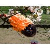 jezek hnedy oranzovy doghouse shop cz (3)