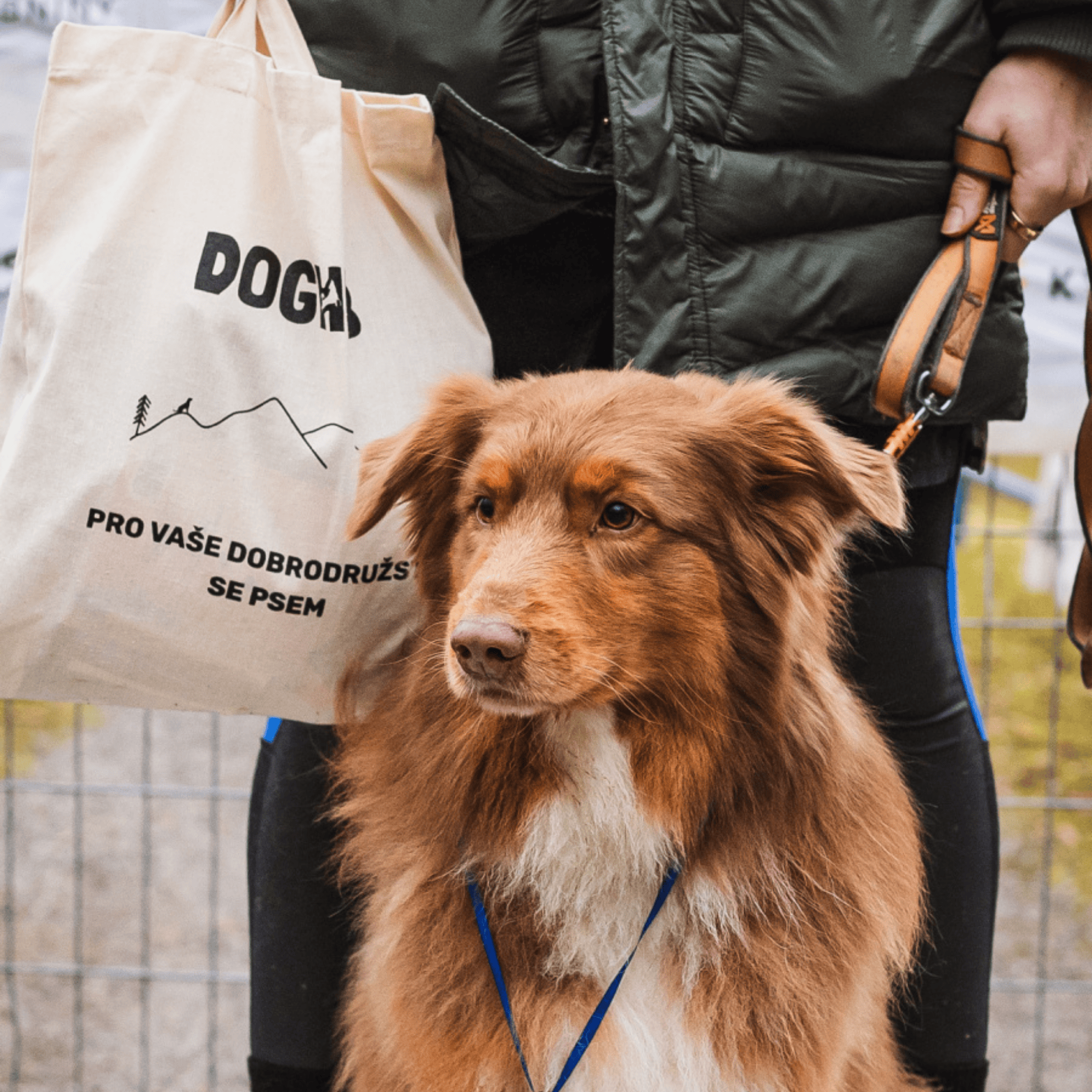 Repost z víkendového závodu Okolo dolu Staříč