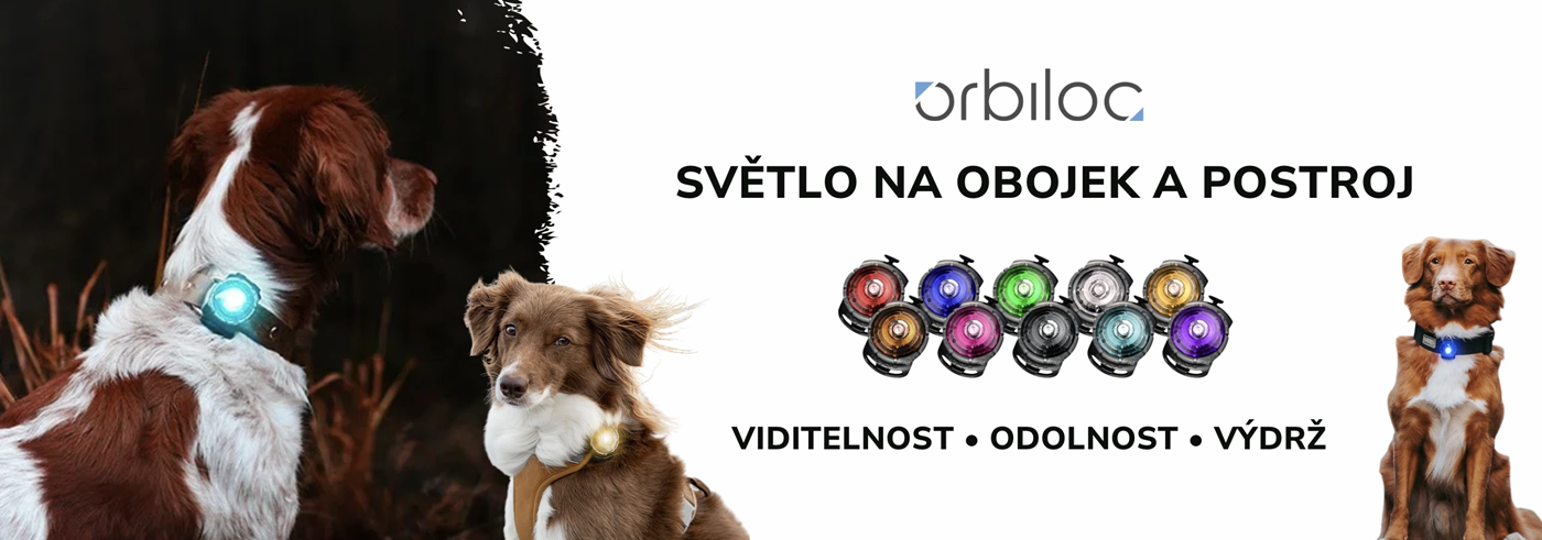 orbiloc