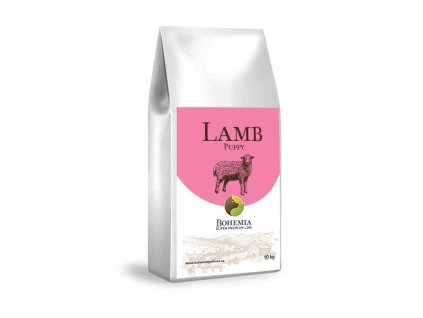 sp lamb puppy 2
