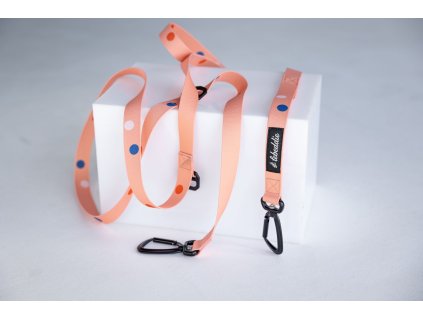 dog handsfree leash lebeddie0096 min scaled