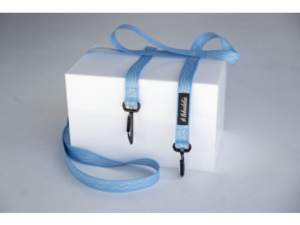 dog handsfree leash lebeddie0136 min scaled