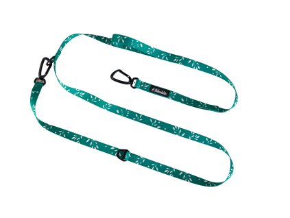 2321 1 dog handsfree leash lebeddie0345 min scaled