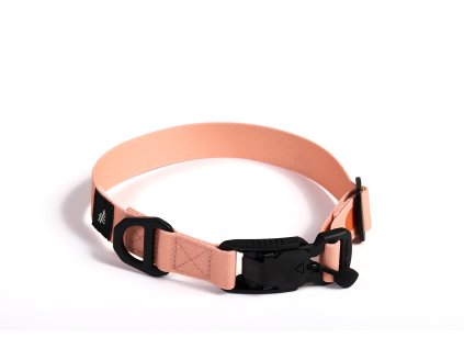 sustainable dog leash collar lebeddieLebeddie 0124
