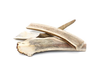 1423 4dogs pulene jeleni parozi pro psy standard l