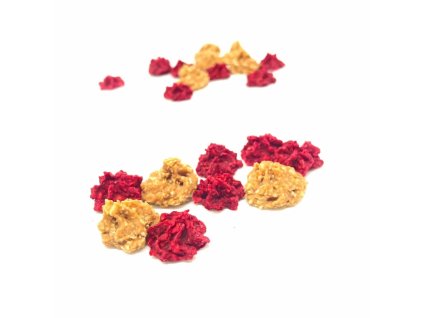 pusinky I scaled e1674488215961.webp