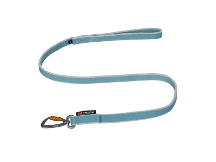 bungee leash ice blue