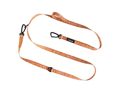 383 dog handsfree leash lebeddie0414 min scaled