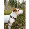 woodland leash 519649
