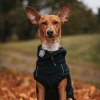 Orbiloc Reflective Clip Dog Coat Southpawsjourney