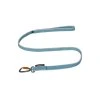 bungee leash ice blue