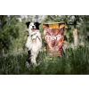 Marp Holistic Lamb Grain Free