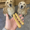 Medium Sticks 04.jpg