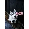 Marp Holistic Kolagenová tyčinka