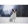 Marp Holistic Kolagenová tyčinka