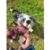 Marp Holistic Kolagenová tyčinka