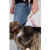 dog leash control lebeddie