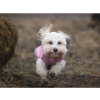 non-stop-dogwear-trail-quest-fleece-pullover-mikina-ruzova