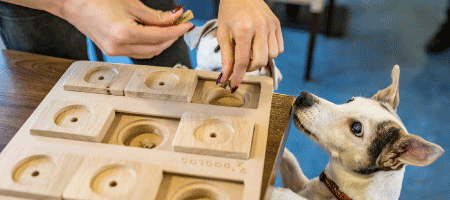 Návod na hlavolam DINNER od Nose Land