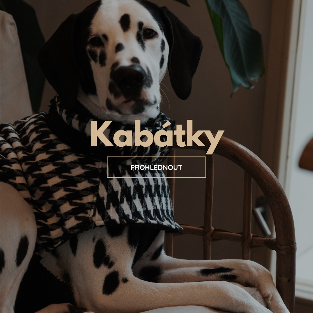 Kabátky