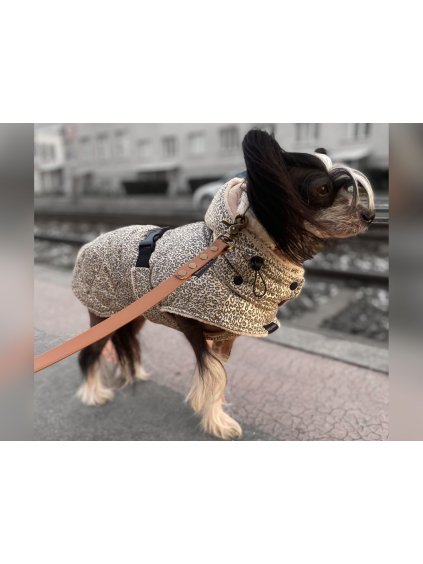 Rozměr na web náhledy (53)
