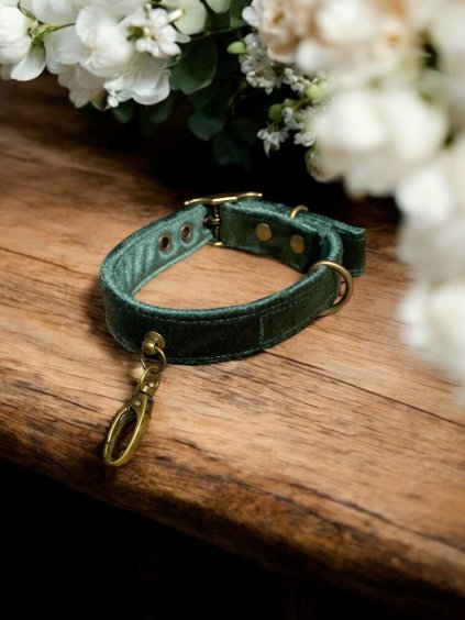 wedding dog collar emerald green dogo fogo