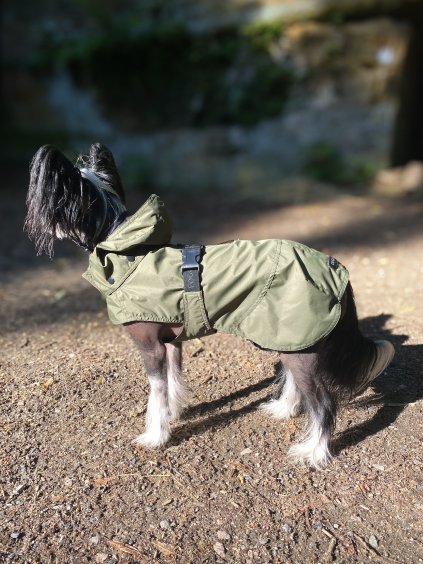 Barka Forest Green 8