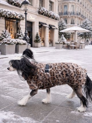 Oblečky do města? Umíme 🐆