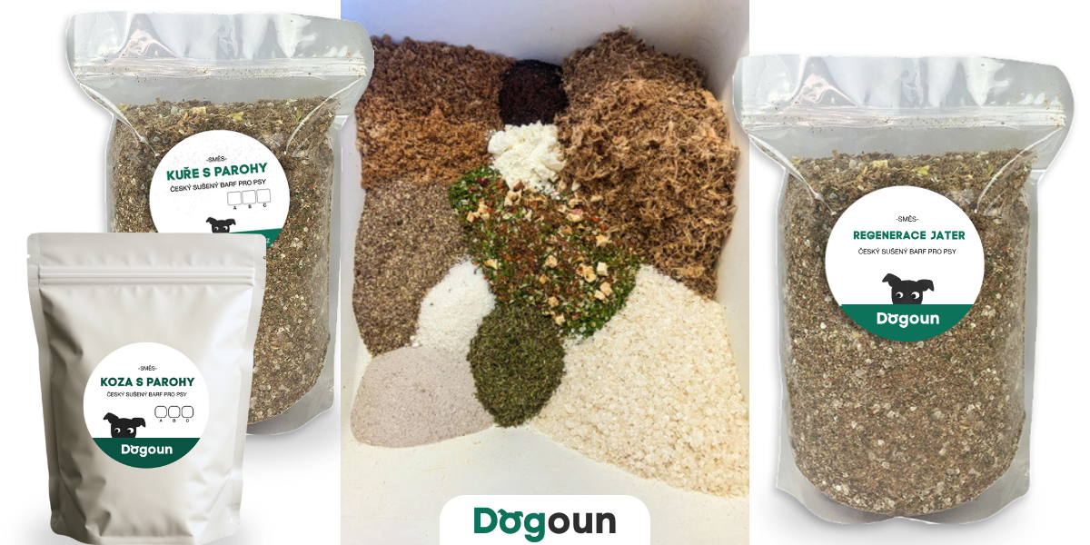 Jak začít s BARFem?