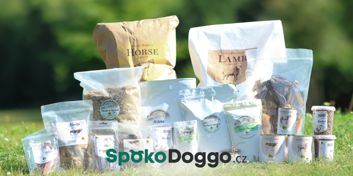 spokodoggo-blog-sablona-zradlo
