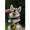 NAP Dog protein bar - Chicken 50g