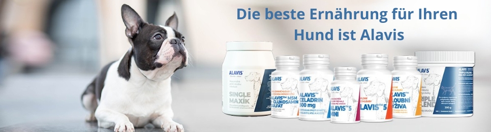 Alavis